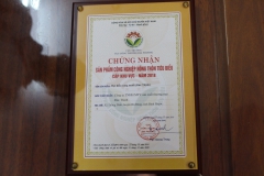 Certificate of Merit and Certificate